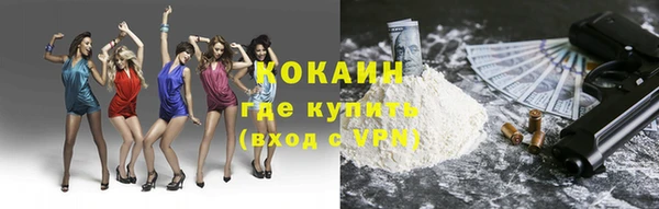 крисы Баксан