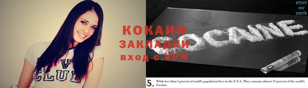 крисы Баксан