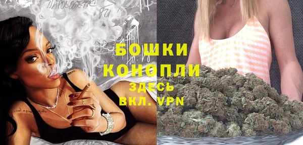 крисы Баксан