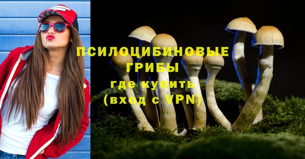 крисы Баксан