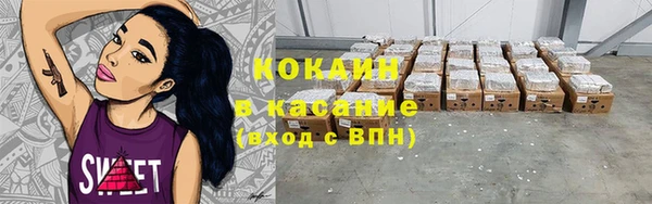 крисы Баксан