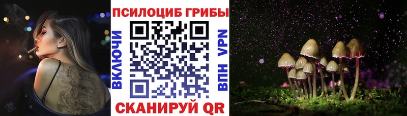 Псилоцибиновые грибы Cubensis  Чаплыгин 
